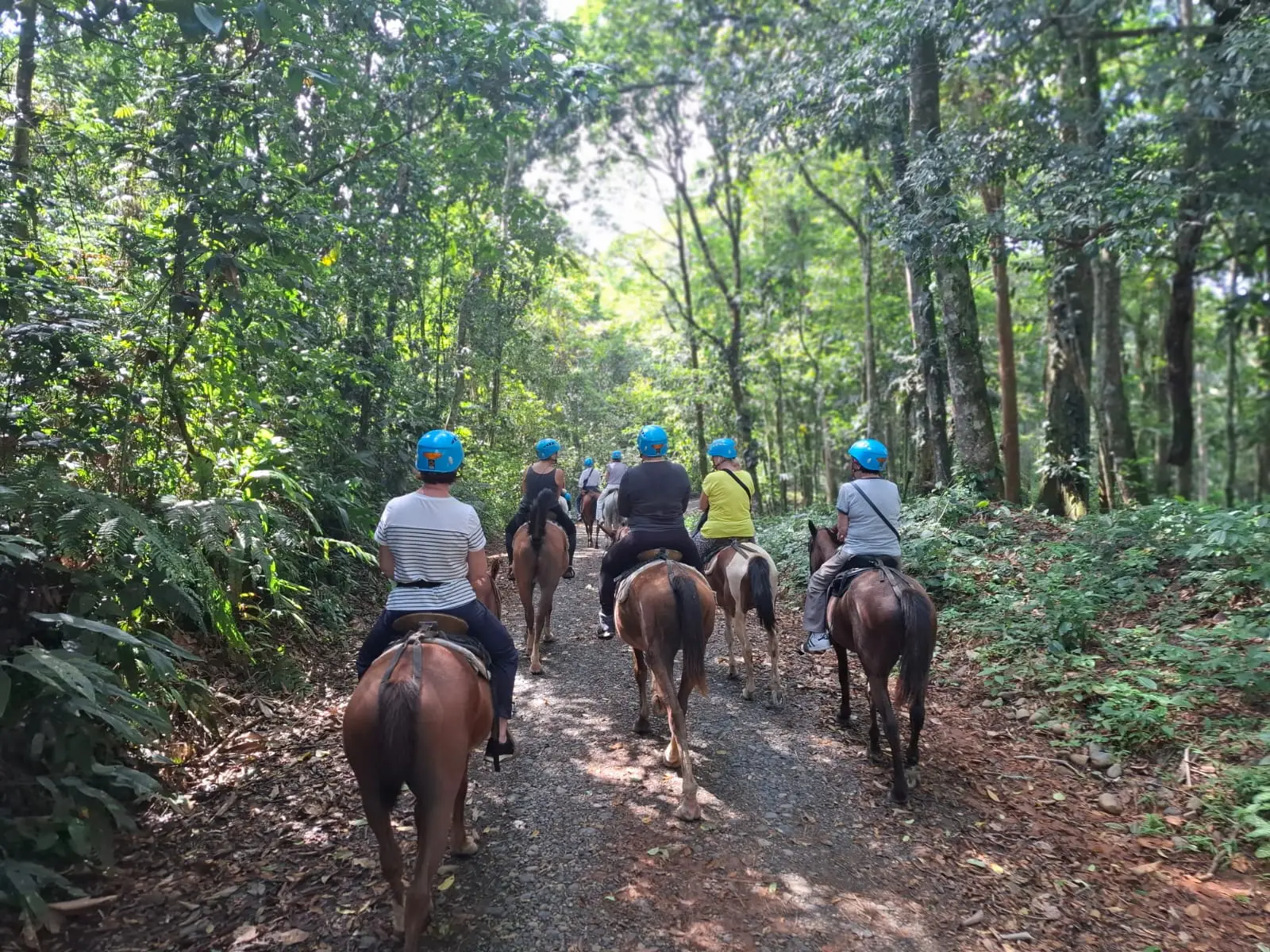 Imagen Horseback Sarapiquí