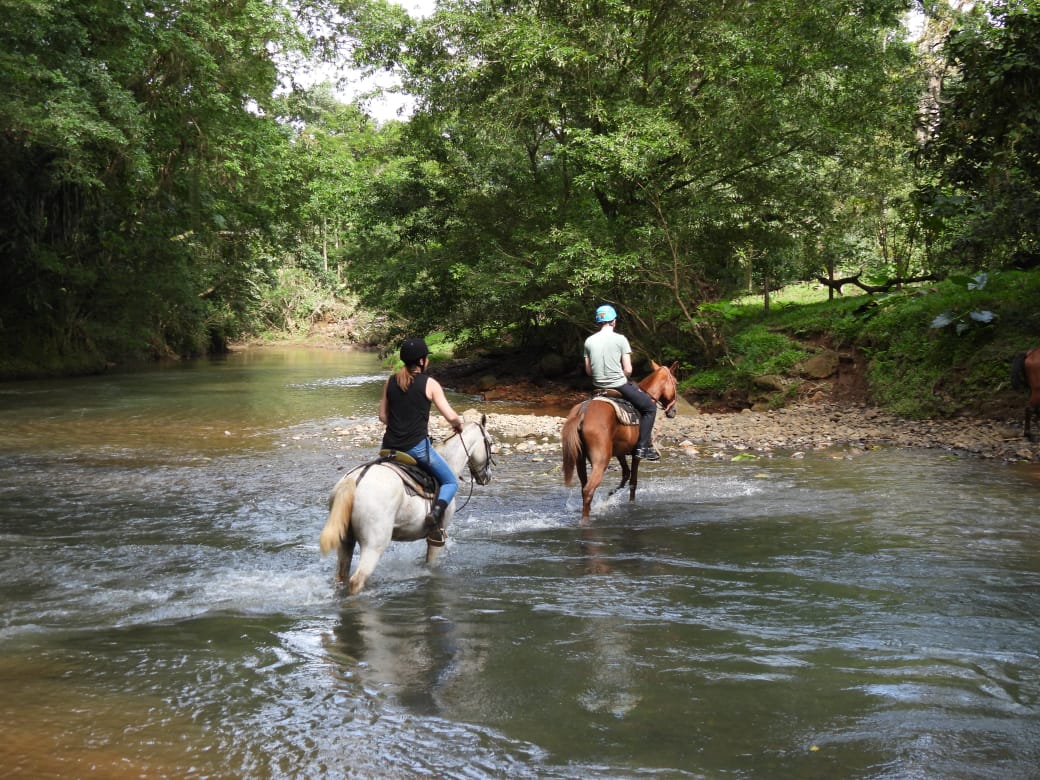 Imagen de Tour a Caballo Sarapiquí