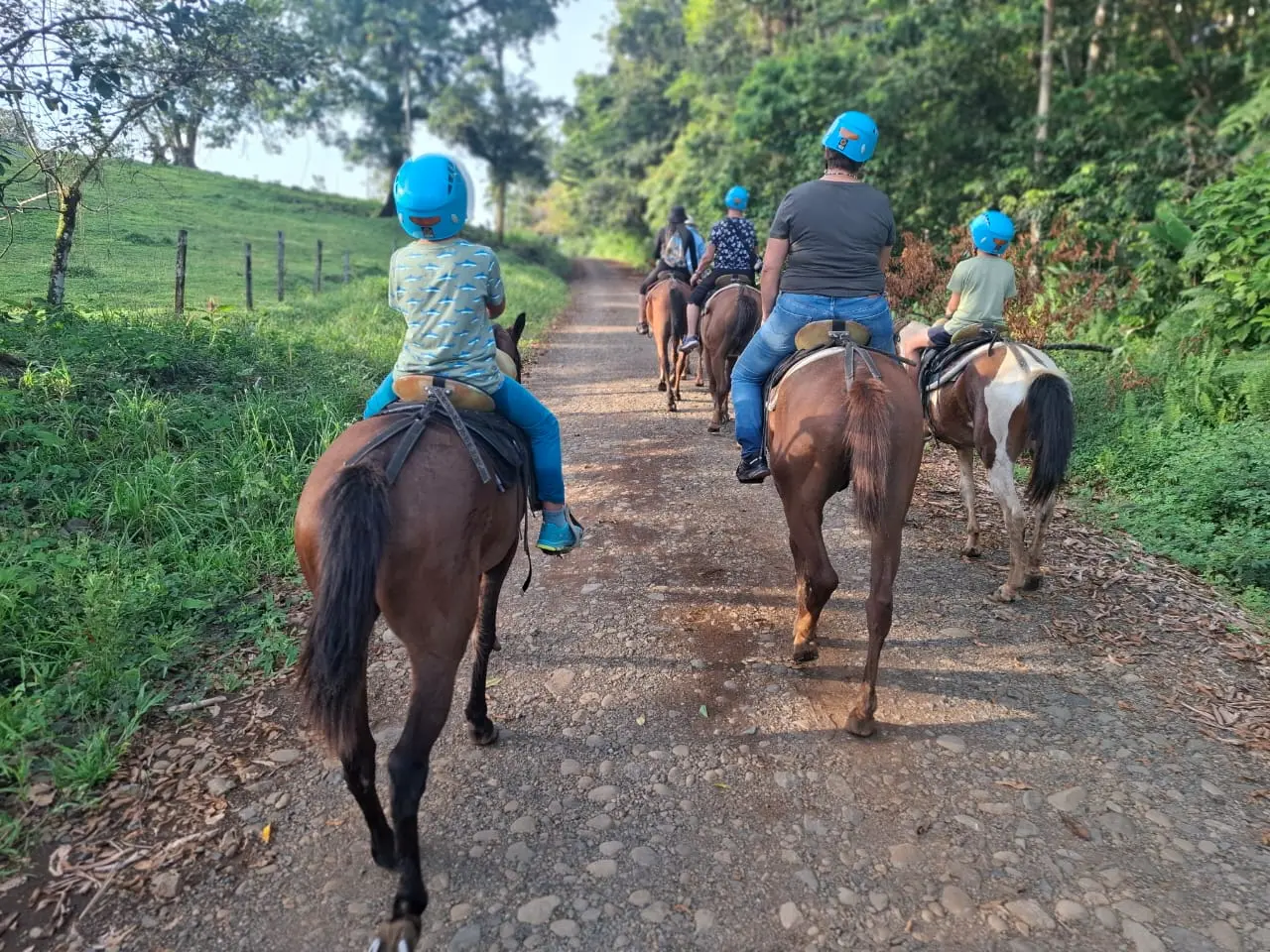 Imagen Horseback Sarapiquí